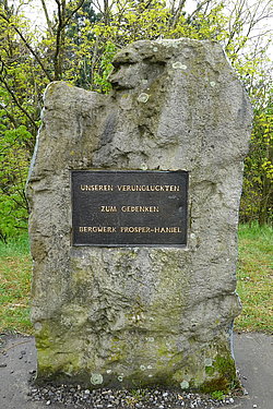 Halde Haniel ©ruhrtropolis.de